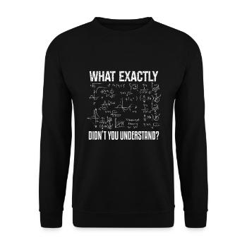 Funny Science Teacher Physicist Math Physics - Sweat-shirt Unisexe - noir - Devant - Alina (178cm) & Michal (187cm)
