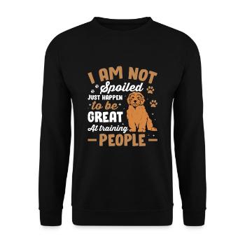Goldendoodle Je ne suis pas gâté Drôle - Sweat-shirt Unisexe - noir - Devant - Alina (178cm) & Michal (187cm)