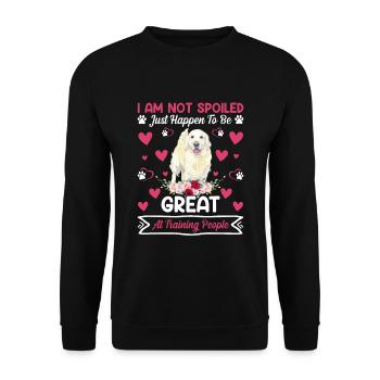Golden Retriever Je ne suis pas gâté plus drôle - Sweat-shirt Unisexe - noir - Devant - Alina (178cm) & Michal (187cm)