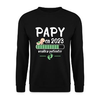 Futur Papy 2023 Idée Cadeau Nouvelle Naissance - Sweat-shirt Unisexe - noir - Devant - Alina (178cm) & Michal (187cm)