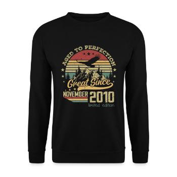14 Year Old Aged to Perfection Born: November 2010 - Unisex Sweatshirt - black - Front - Alina (178cm) & Michal (187cm)