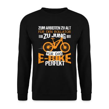 EBike Rentner Pedelec Fahrrad Elektro Rad - Unisex Pullover - Schwarz - Vorne - Alina (178cm) & Michal (187cm)