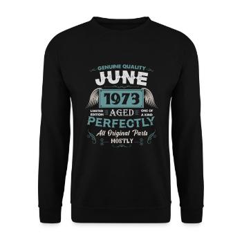 Juni 1973 Vintage Geburtstag Geschenk - Unisex Pullover - Schwarz - Vorne - Alina (178cm) & Michal (187cm)