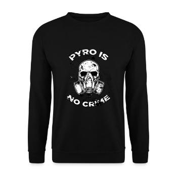 Pyrotechnie, Nouvel An, Nouvel An, pas de crime, pyro - Sweat-shirt Unisexe - noir - Devant - Alina (178cm) & Michal (187cm)