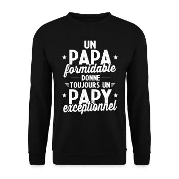 Un papa formidable - Papy exceptionnel cadeau - Sweat-shirt Unisexe - noir - Devant - Alina (178cm) & Michal (187cm)