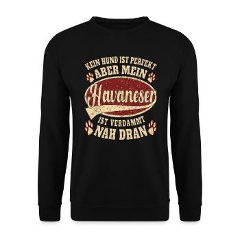 Havaneser perfekter Hund Spruch Retro - Unisex Pullover - Schwarz - Vorne - Alina (178cm) & Michal (187cm)