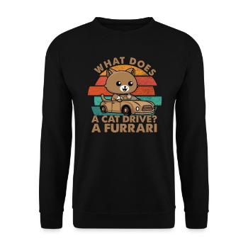 What Does A Cat Drive? A Furrari - Dad Jokes - Unisex Sweatshirt - black - Front - Alina (178cm) & Michal (187cm)