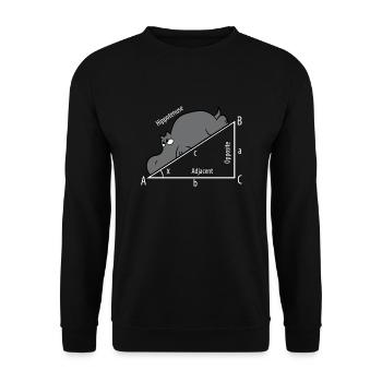 Funny Math Humor Hippotenuse Hypotenuse Funny - Unisex Sweatshirt - black - Front - Alina (178cm) & Michal (187cm)