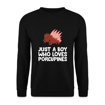 Juste un garçon qui aime les porcs-épics - Sweat-shirt Unisexe - noir - Devant - Alina (178cm) & Michal (187cm)
