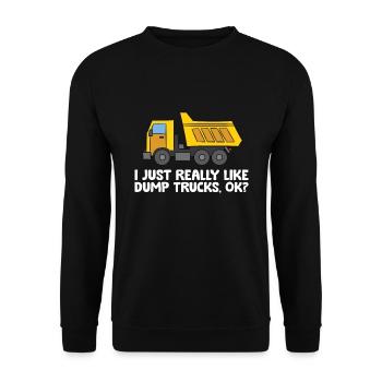 Baufahrzeug Ich mag Kipplaster einfach sehr - Unisex Pullover - Schwarz - Vorne - Alina (178cm) & Michal (187cm)