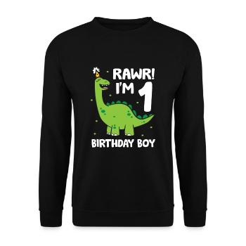 Rawr I'm 1 Dinosaurier Geburtstagskind 1. - Unisex Pullover - Schwarz - Vorne - Alina (178cm) & Michal (187cm)