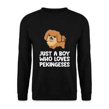 Just a Boy Who Loves Pekingeses - Unisex Sweatshirt - black - Front - Alina (178cm) & Michal (187cm)