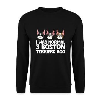 J’étais normal devant 3 Boston Terriers Funny - Sweat-shirt Unisexe - noir - Devant - Alina (178cm) & Michal (187cm)