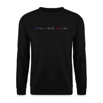 Programmierer, Software, Informatik, Developer - Unisex Pullover - Schwarz - Vorne - Alina (178cm) & Michal (187cm)
