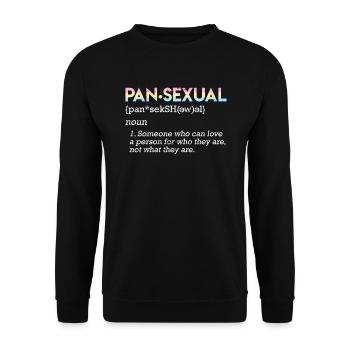 LGBT Pride Pansexuell Bedeutung Definition - Unisex Pullover - Schwarz - Vorne - Alina (178cm) & Michal (187cm)