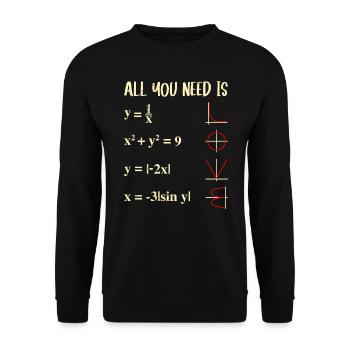All you need is Love Mathe Funktionen Graphen - Unisex Pullover - Schwarz - Vorne - Alina (178cm) & Michal (187cm)