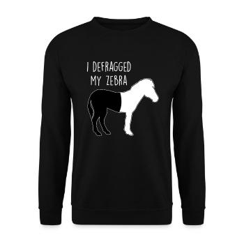 I defragged my Zebra Coder Informatiker Hacker - Unisex Pullover - Schwarz - Vorne - Alina (178cm) & Michal (187cm)