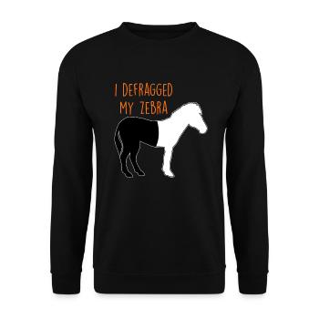 Defragmentiertes Zebra Informatiker Witz Coder - Unisex Pullover - Schwarz - Vorne - Alina (178cm) & Michal (187cm)