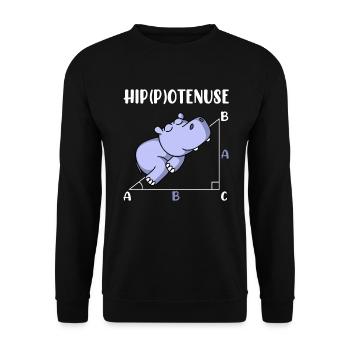 Hippotenuse mathématiques amusantes maths - Sweat-shirt Unisexe - noir - Devant - Alina (178cm) & Michal (187cm)