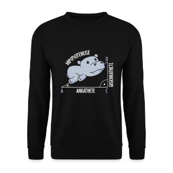 Mathématiques Hippotenuse mathématiques amusantes - Sweat-shirt Unisexe - noir - Devant - Alina (178cm) & Michal (187cm)