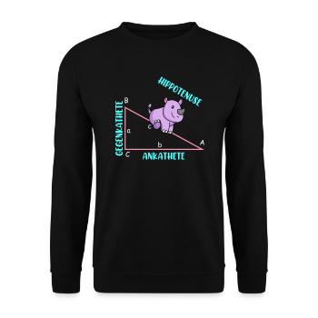 Mathématicien Professeur de mathématiques Hippotenuse - Sweat-shirt Unisexe - noir - Devant - Alina (178cm) & Michal (187cm)
