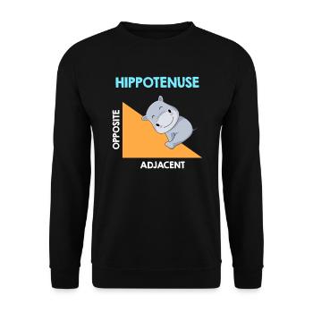Hippotenuse Algebra Analysis - Unisex Pullover - Schwarz - Vorne - Alina (178cm) & Michal (187cm)