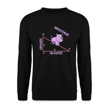 Mathématicien Professeur de mathématiques Hippotenuse - Sweat-shirt Unisexe - noir - Devant - Alina (178cm) & Michal (187cm)