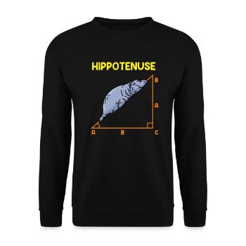 Math Hippo Professeur de mathématiques Hippotenuse - Sweat-shirt Unisexe - noir - Devant - Alina (178cm) & Michal (187cm)