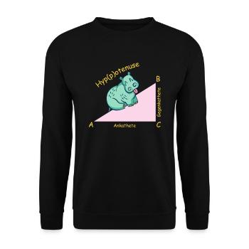 Professeur de mathématiques mathématicien Hippotenuse - Sweat-shirt Unisexe - noir - Devant - Alina (178cm) & Michal (187cm)