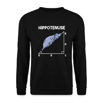 Math Hippo Professeur de mathématiques Hippotenuse - Sweat-shirt Unisexe - noir - Devant - Alina (178cm) & Michal (187cm)