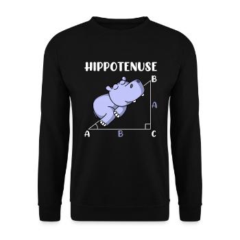 Hippotenuse mathématiques amusantes maths - Sweat-shirt Unisexe - noir - Devant - Alina (178cm) & Michal (187cm)