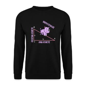 Mathématicien Professeur de mathématiques Hippotenuse - Sweat-shirt Unisexe - noir - Devant - Alina (178cm) & Michal (187cm)