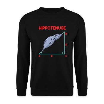 Math Hippo Professeur de mathématiques Hippotenuse - Sweat-shirt Unisexe - noir - Devant - Alina (178cm) & Michal (187cm)