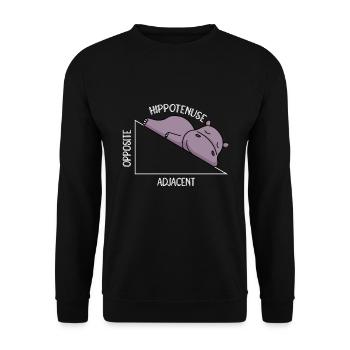 Algebra Math Student Math Teacher Hippotenuse - Unisex Sweatshirt - black - Front - Alina (178cm) & Michal (187cm)