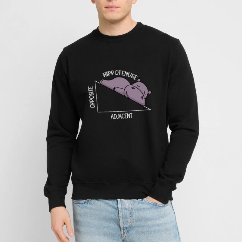Algebra Math Student Math Teacher Hippotenuse Unisex Sweatshirt