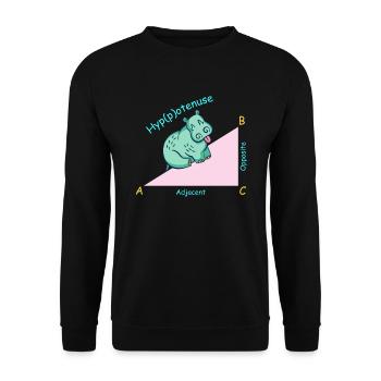 Professeur de mathématiques mathématicien Hippotenuse - Sweat-shirt Unisexe - noir - Devant - Alina (178cm) & Michal (187cm)