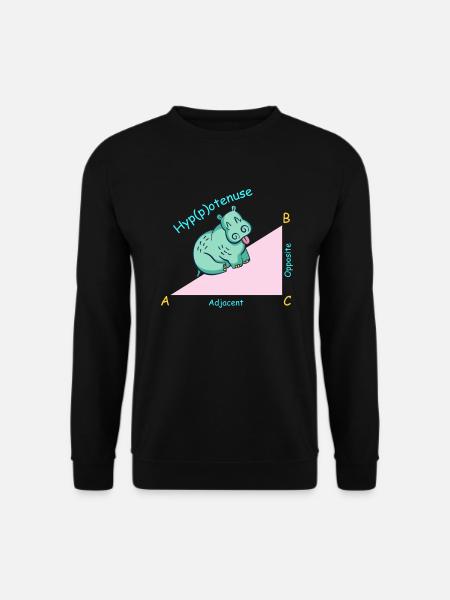 Mathelehrer Mathematiker Hippotenuse - Unisex Pullover - Schwarz
