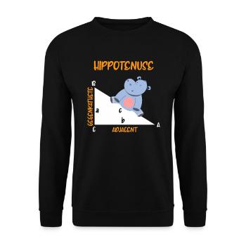 Mathematician Hippotenuse Hippo Triangle - Unisex Sweatshirt - black - Front - Alina (178cm) & Michal (187cm)