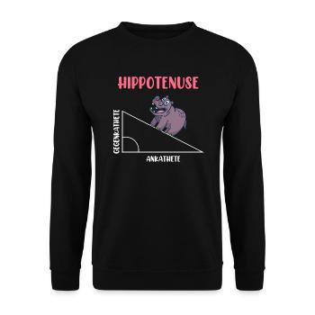 Hippotenuse Algèbre Mathématiques Étudiant - Sweat-shirt Unisexe - noir - Devant - Alina (178cm) & Michal (187cm)