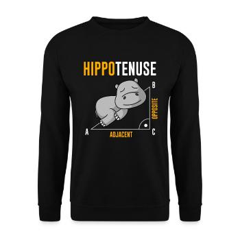 Nieldpferd Hippo Hippotenuse Algebra Mathelehrer - Unisex Pullover - Schwarz - Vorne - Alina (178cm) & Michal (187cm)