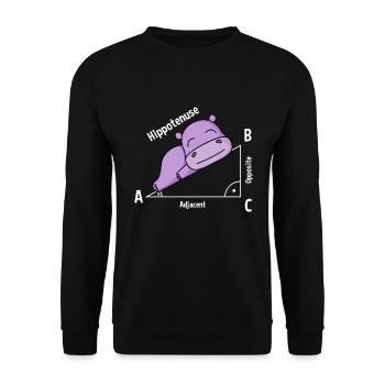Math teacher Hipotenuse Math - Unisex Sweatshirt - black - Front - Alina (178cm) & Michal (187cm)