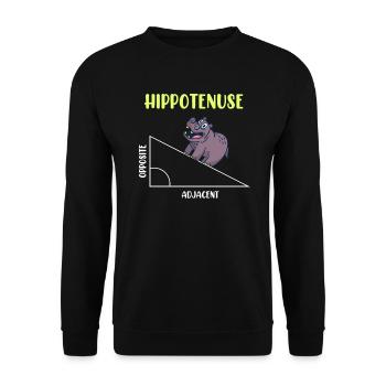 Hippotenuse Algèbre Mathématique Étudiant - Sweat-shirt Unisexe - noir - Devant - Alina (178cm) & Michal (187cm)