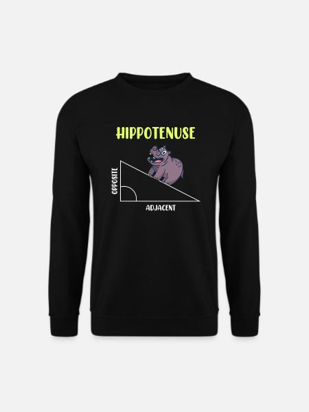 Hippotenuse Algebra Mathematics Student - Unisex Sweatshirt - black