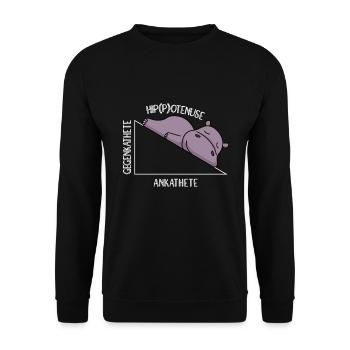 Algebra Math Student Math Teacher Hippotenuse - Unisex Sweatshirt - black - Front - Alina (178cm) & Michal (187cm)