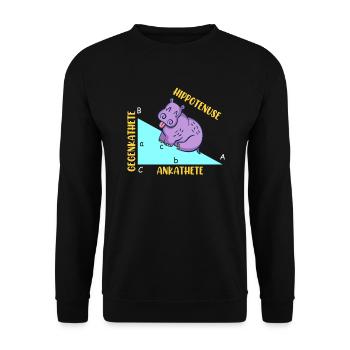 Hippotenuse Math - Sweat-shirt Unisexe - noir - Devant - Alina (178cm) & Michal (187cm)