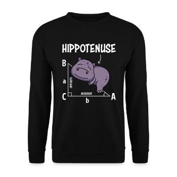 Professeur de mathématiques Hippotenuse Mathématiques - Sweat-shirt Unisexe - noir - Devant - Alina (178cm) & Michal (187cm)