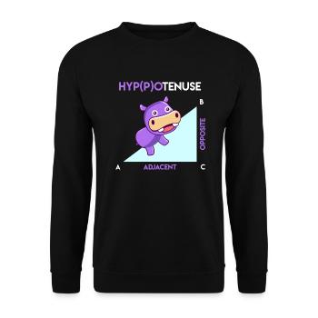 Hypotenuse Hippotenuse Math - Unisex Sweatshirt - black - Front - Alina (178cm) & Michal (187cm)