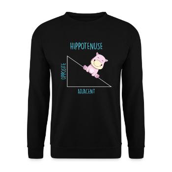 Hippotenuse Professeur de mathématiques - Sweat-shirt Unisexe - noir - Devant - Alina (178cm) & Michal (187cm)