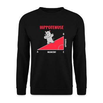 Hippotenuse Math Teacher Mathematician - Unisex Sweatshirt - black - Front - Alina (178cm) & Michal (187cm)