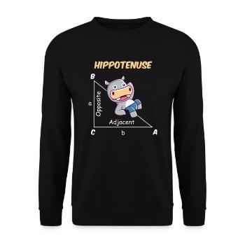 Drôle de mathématicien Design Hippotenuse - Sweat-shirt Unisexe - noir - Devant - Alina (178cm) & Michal (187cm)
